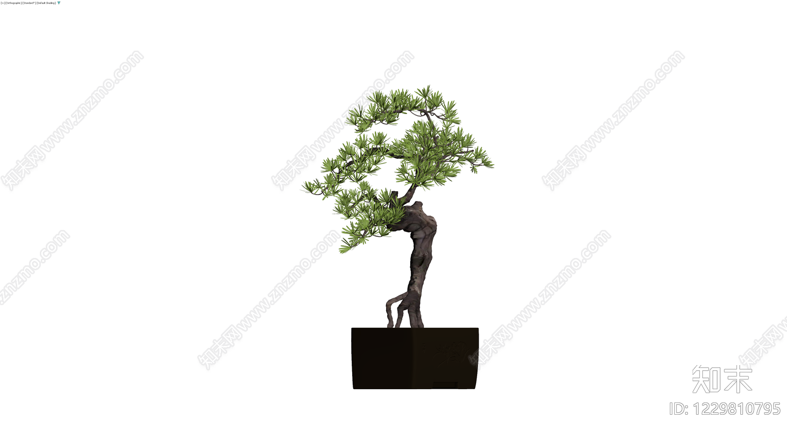 带盆松树盆景模型3D模型下载【ID:1229810795】