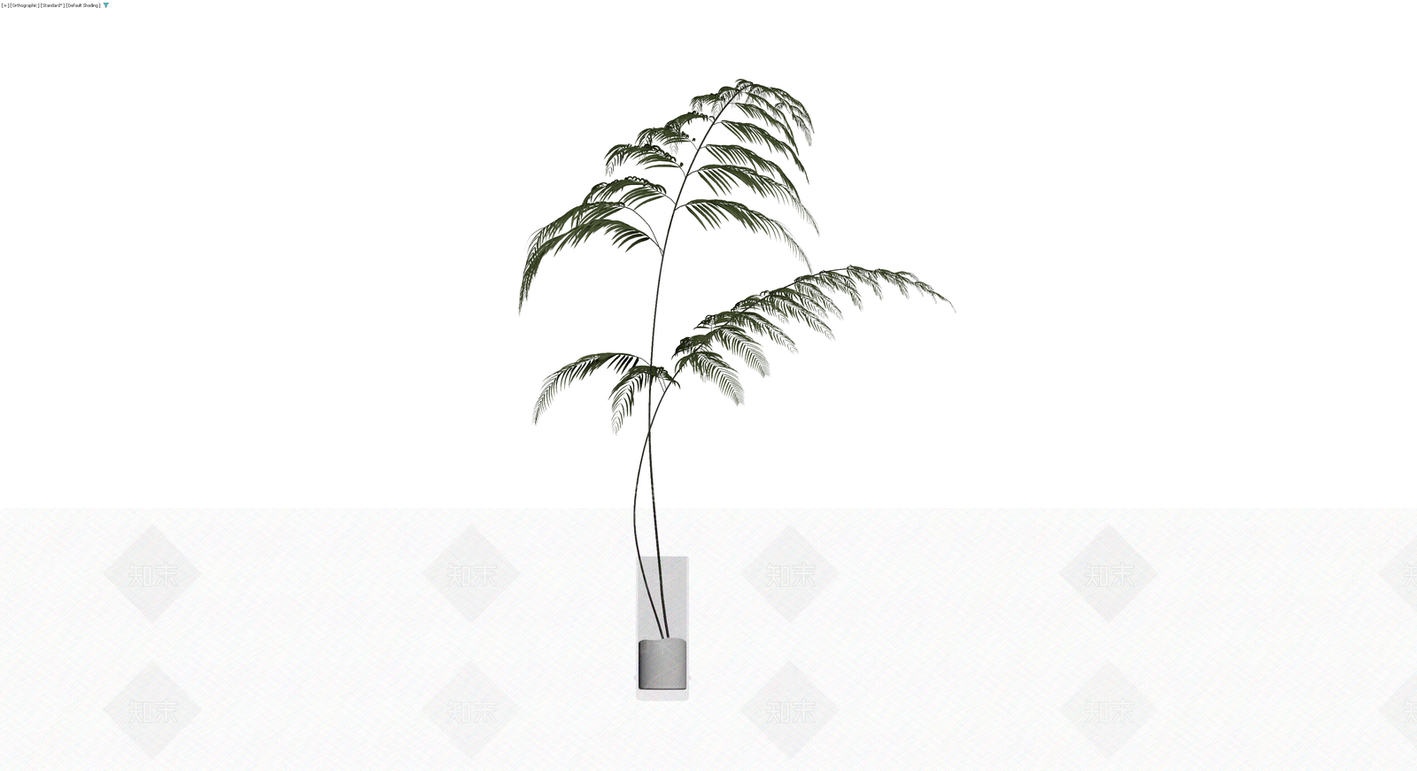 盆栽植物带盆3D模型下载【ID:1230686574】