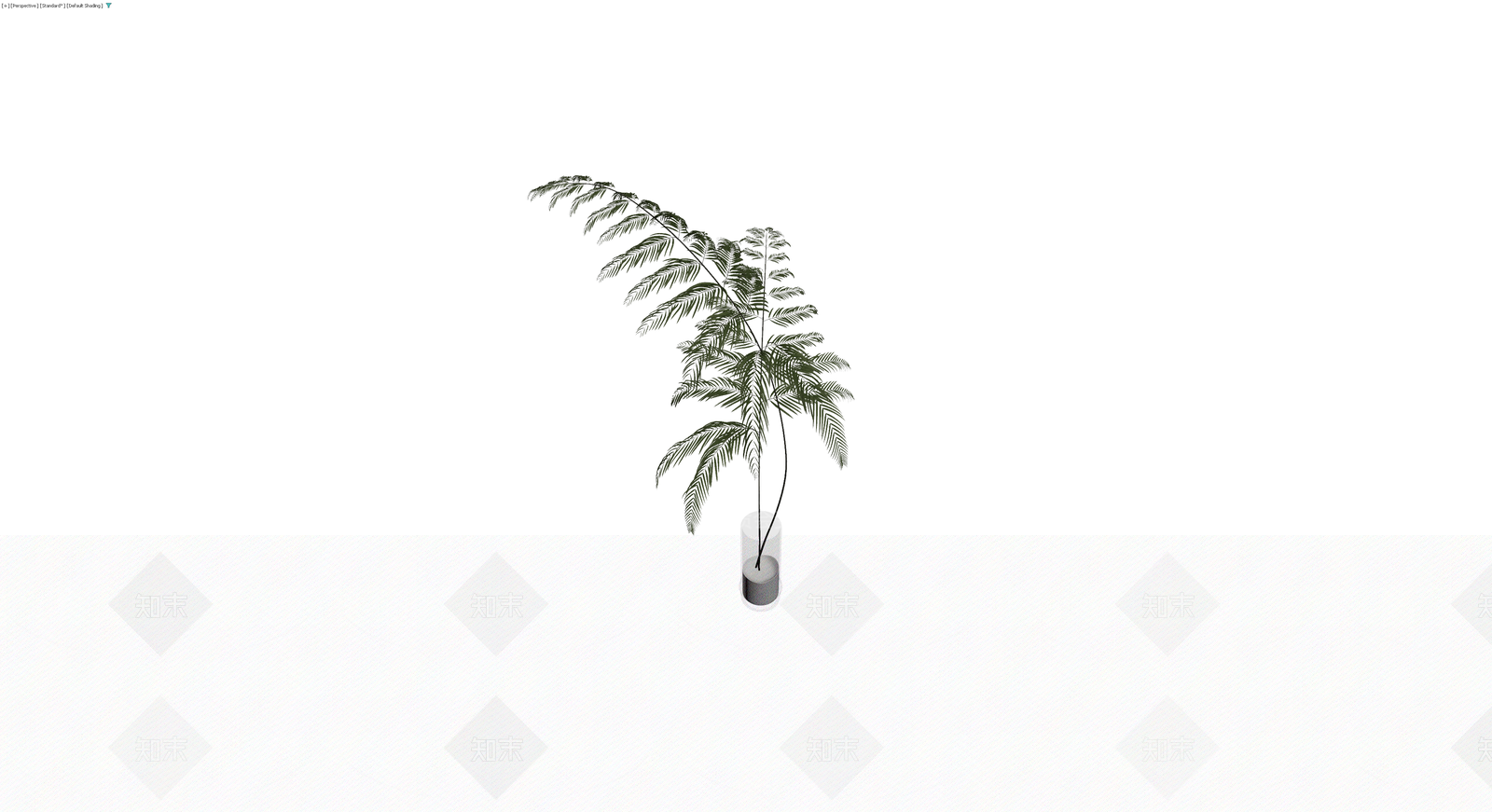 盆栽植物带盆3D模型下载【ID:1230686574】