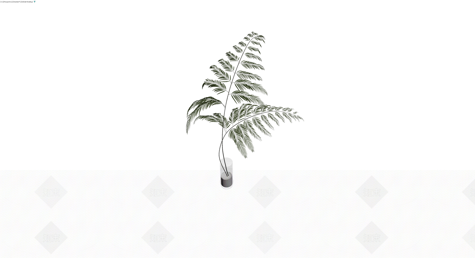 盆栽植物带盆3D模型下载【ID:1230686574】