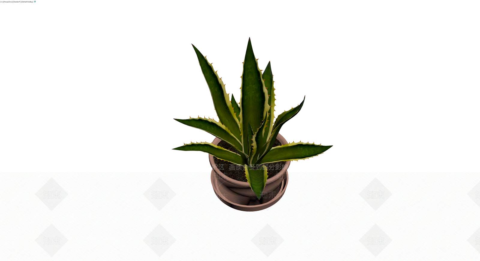 带盆龙舌兰盆栽模型3D模型下载【ID:1229943472】