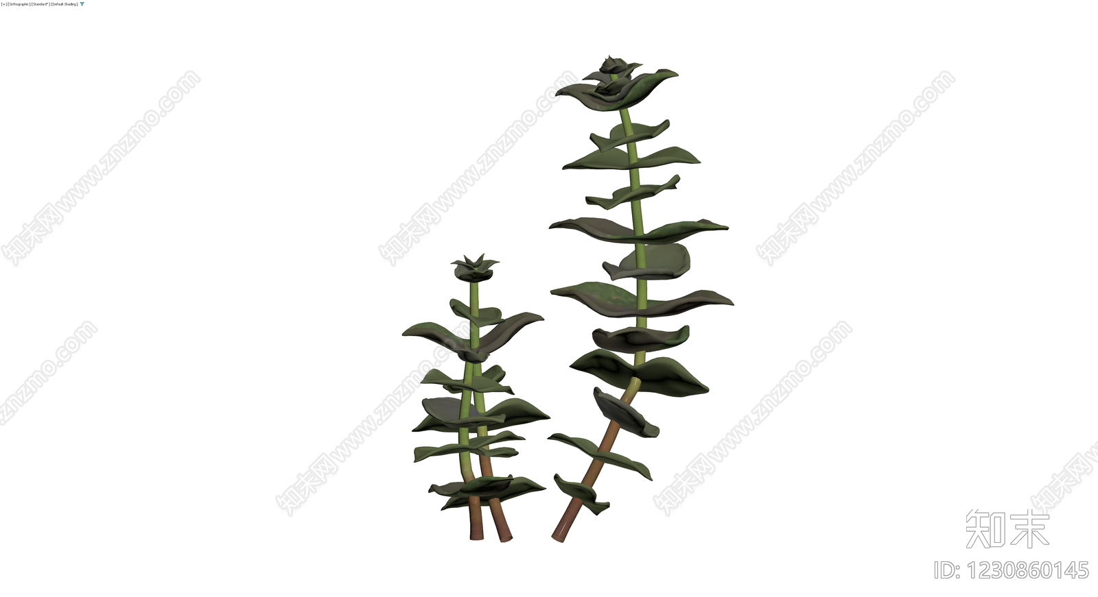绿色植物组合模型3D模型下载【ID:1230860145】