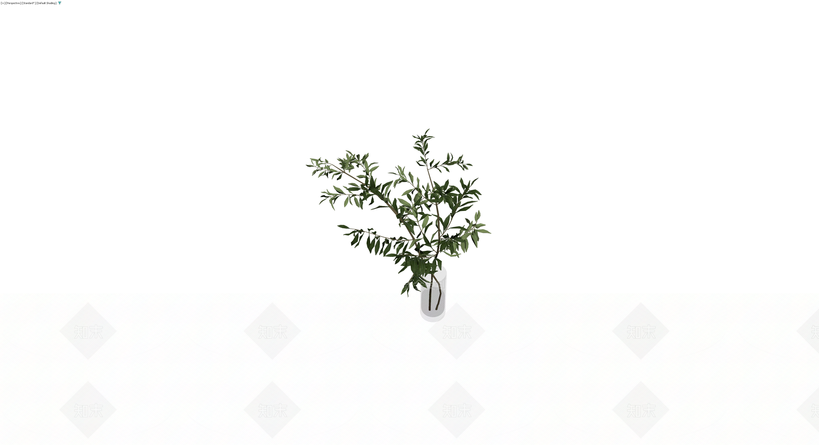 透明花瓶插绿植3D模型下载【ID:1230412884】