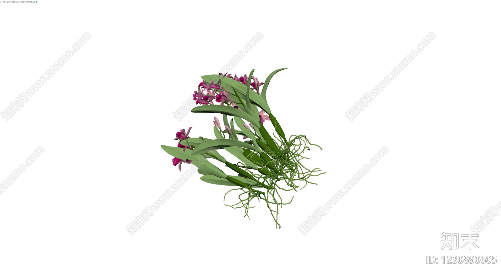 紫色兰花盆栽植物3D模型下载【ID:1230890605】