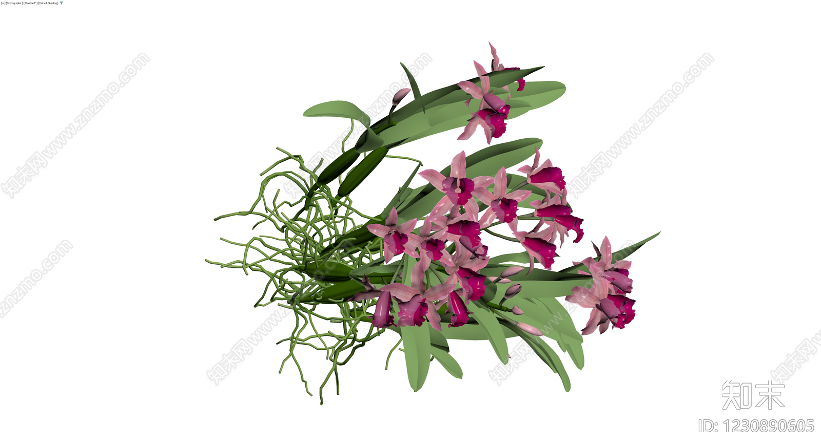 紫色兰花盆栽植物3D模型下载【ID:1230890605】