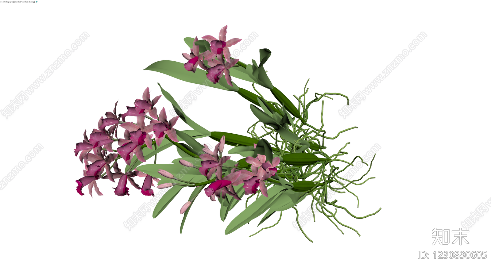 紫色兰花盆栽植物3D模型下载【ID:1230890605】