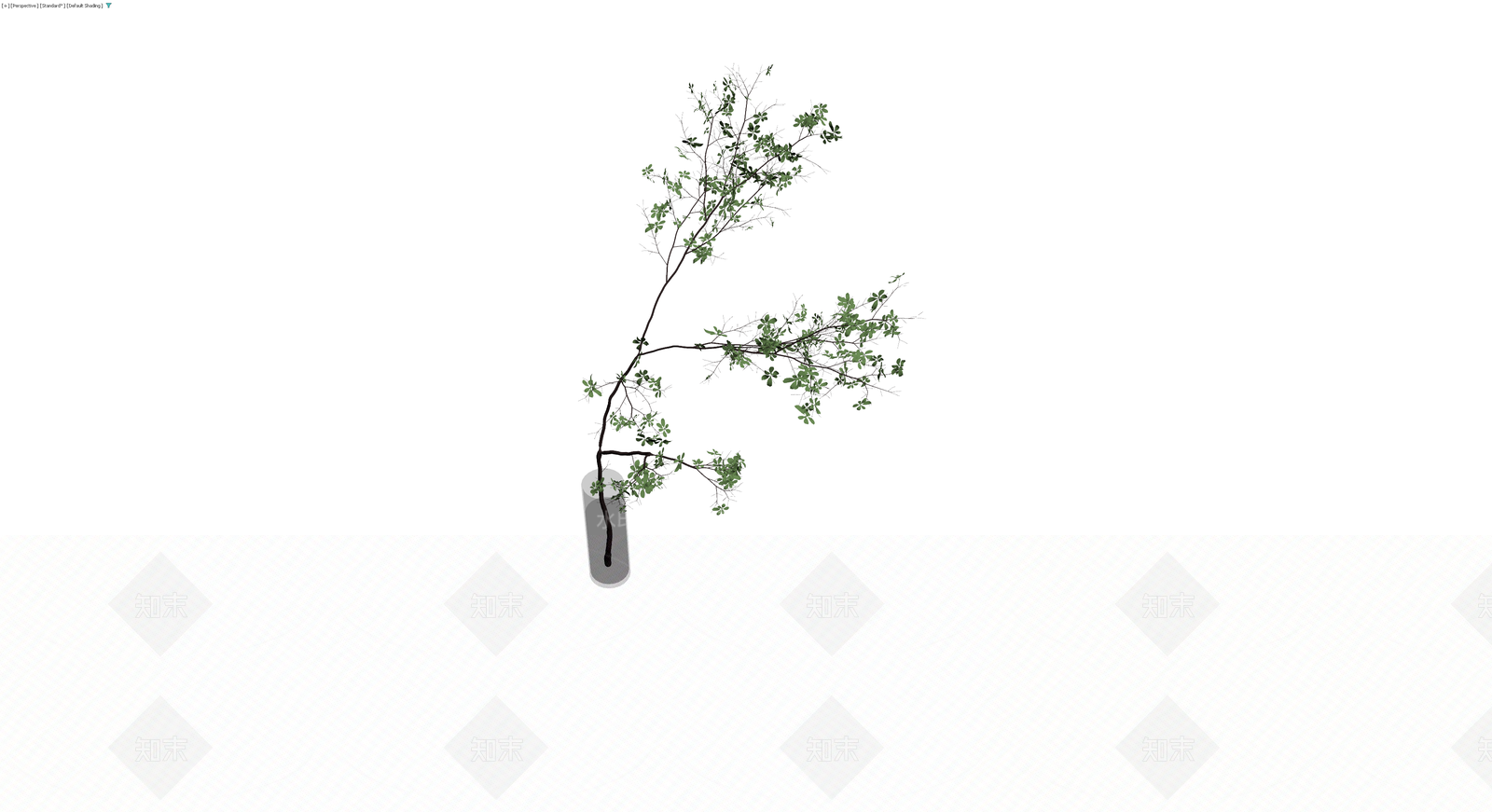 带玻璃花瓶的绿植盆栽3D模型下载【ID:1230742846】