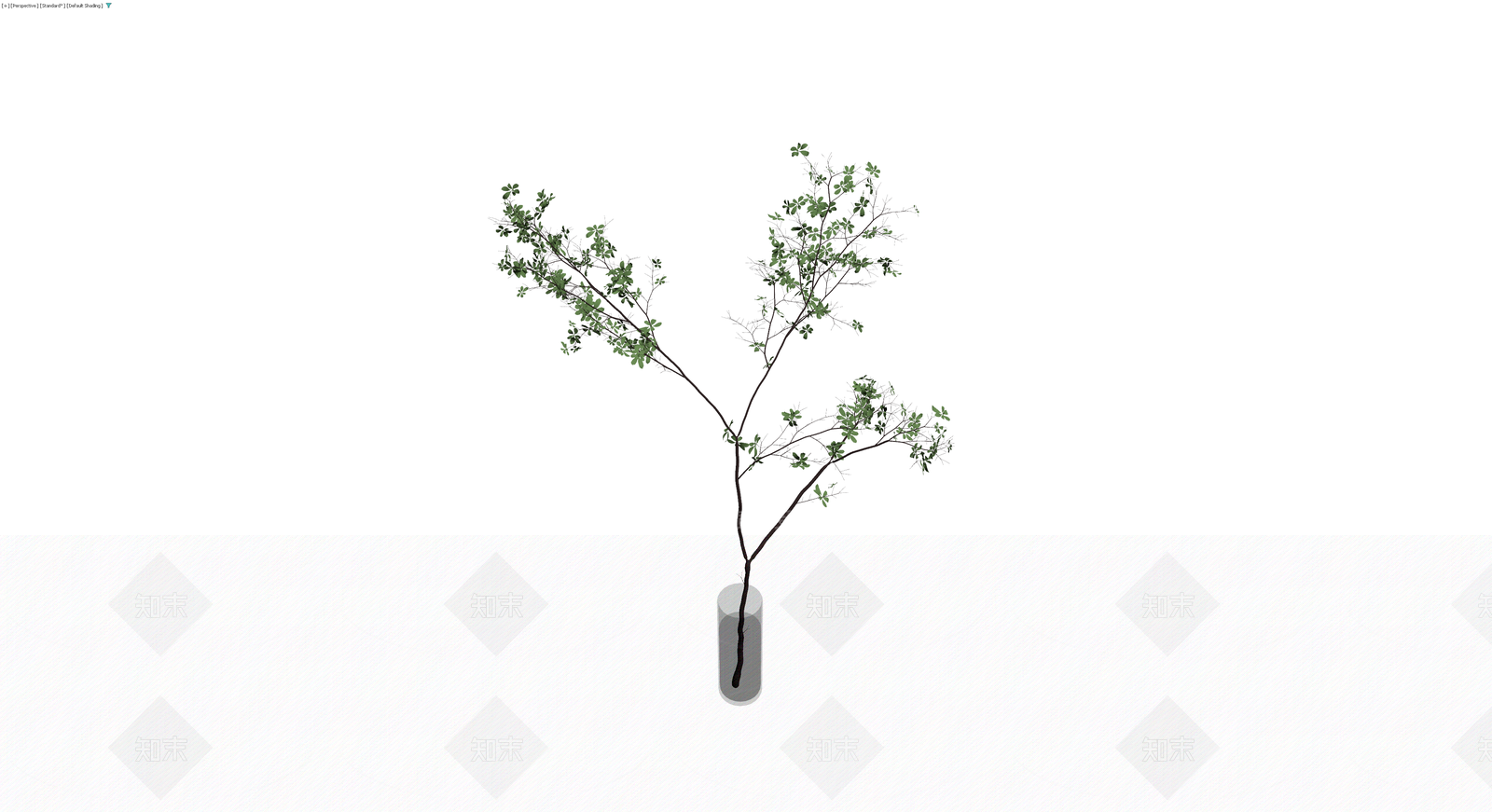 带玻璃花瓶的绿植盆栽3D模型下载【ID:1230742846】