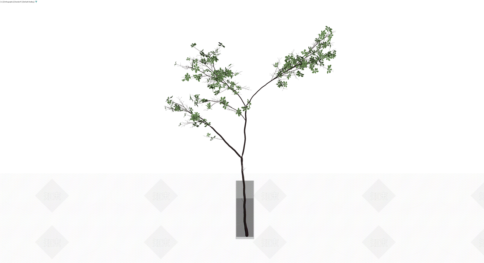 带玻璃花瓶的绿植盆栽3D模型下载【ID:1230742846】