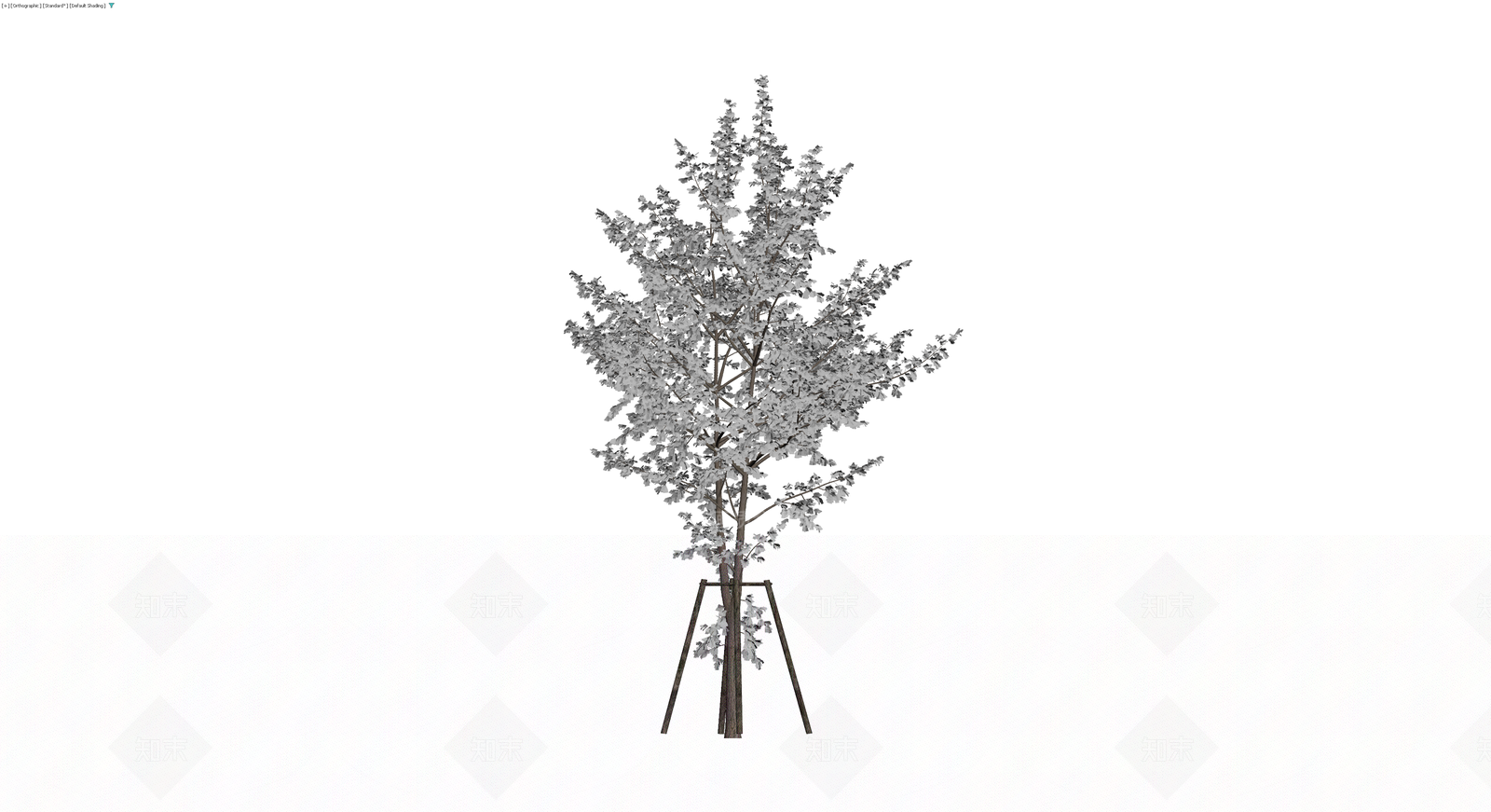 带支撑架的开花乔木3D模型下载【ID:1230100685】