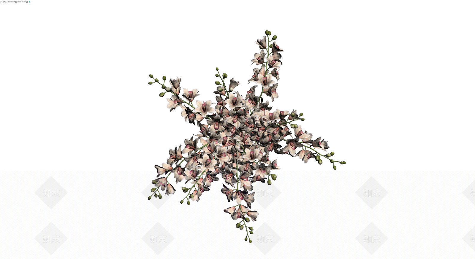 花瓶插兰花盆栽3D模型下载【ID:1230565992】