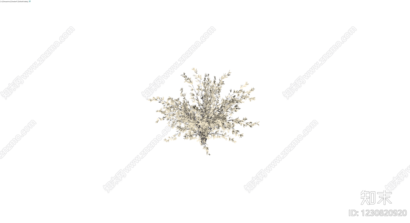 米色丛生灌木模型3D模型下载【ID:1230820920】