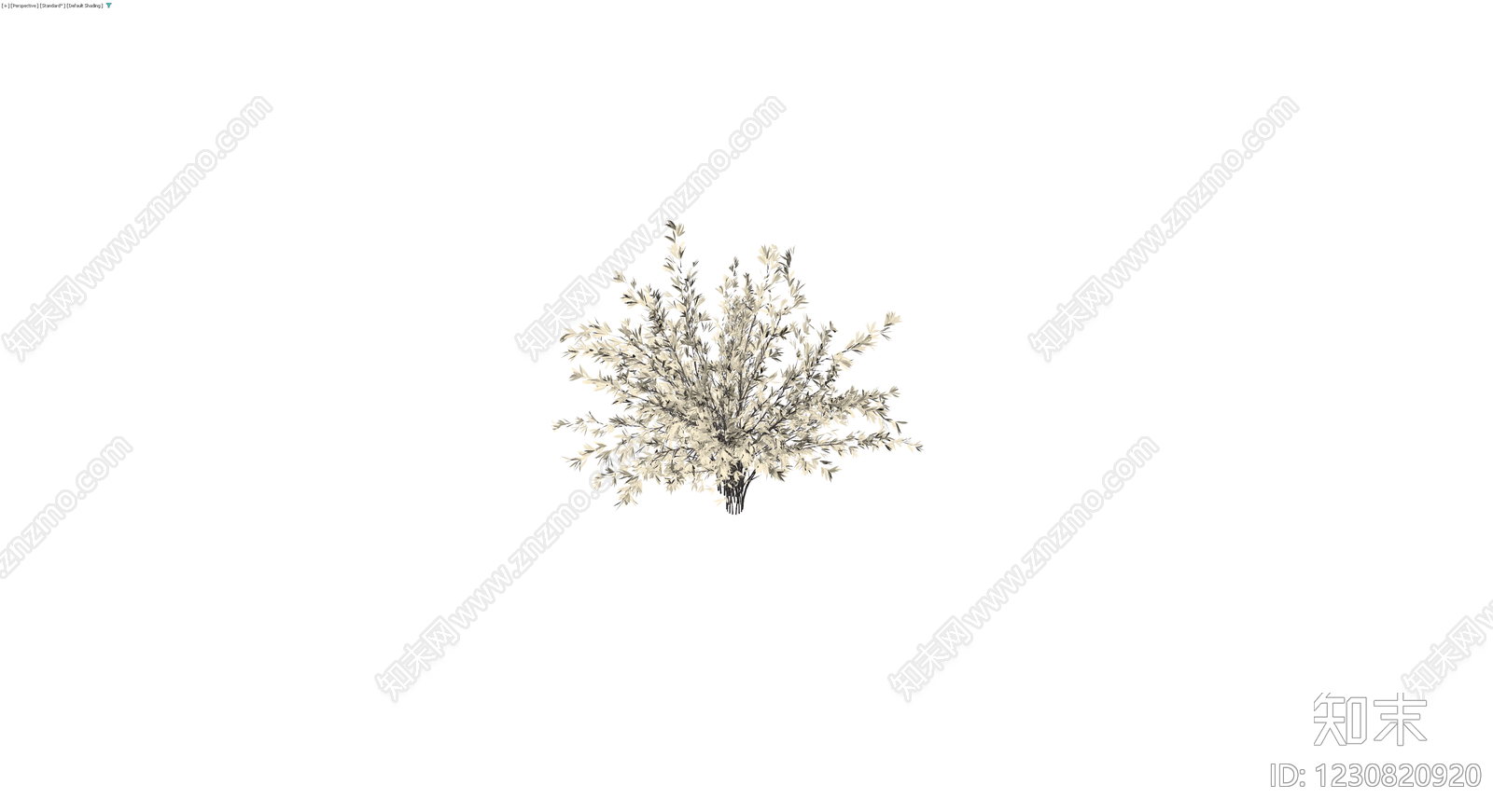 米色丛生灌木模型3D模型下载【ID:1230820920】