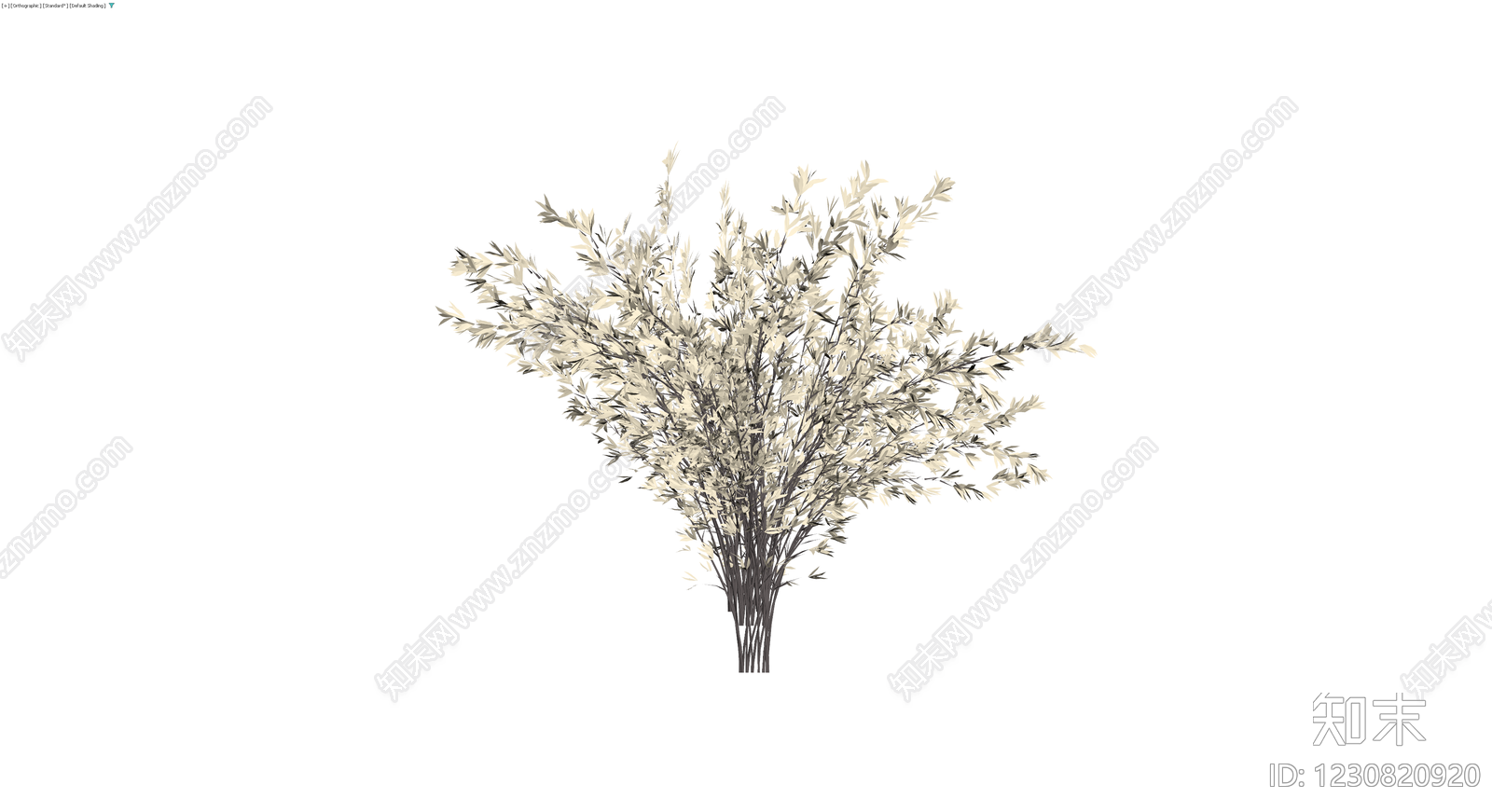 米色丛生灌木模型3D模型下载【ID:1230820920】