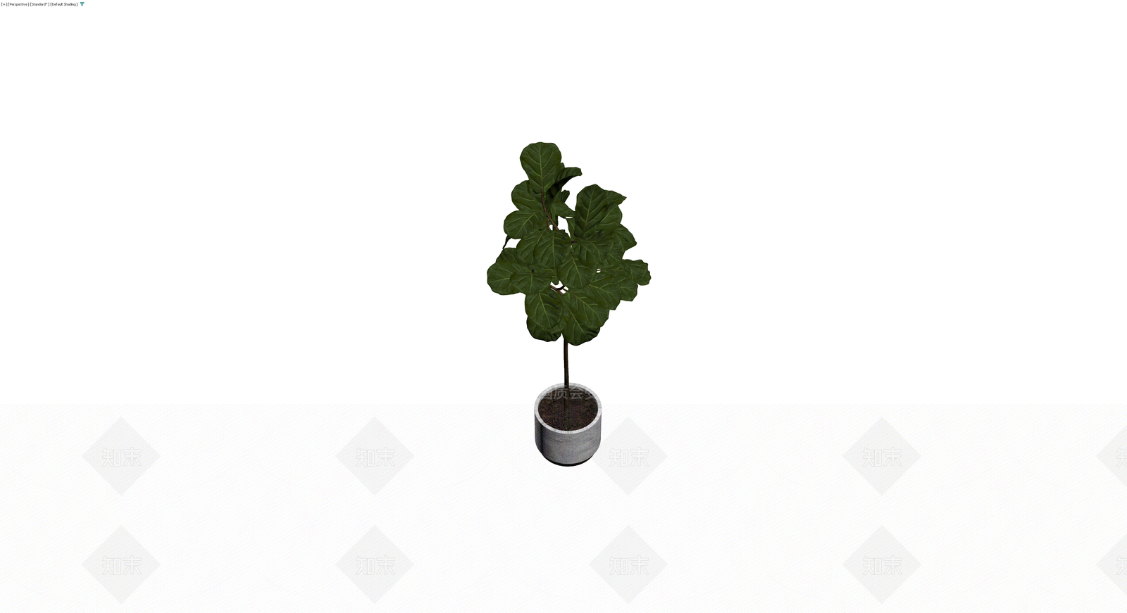 灰色花盆绿植盆栽3D模型下载【ID:1230183325】