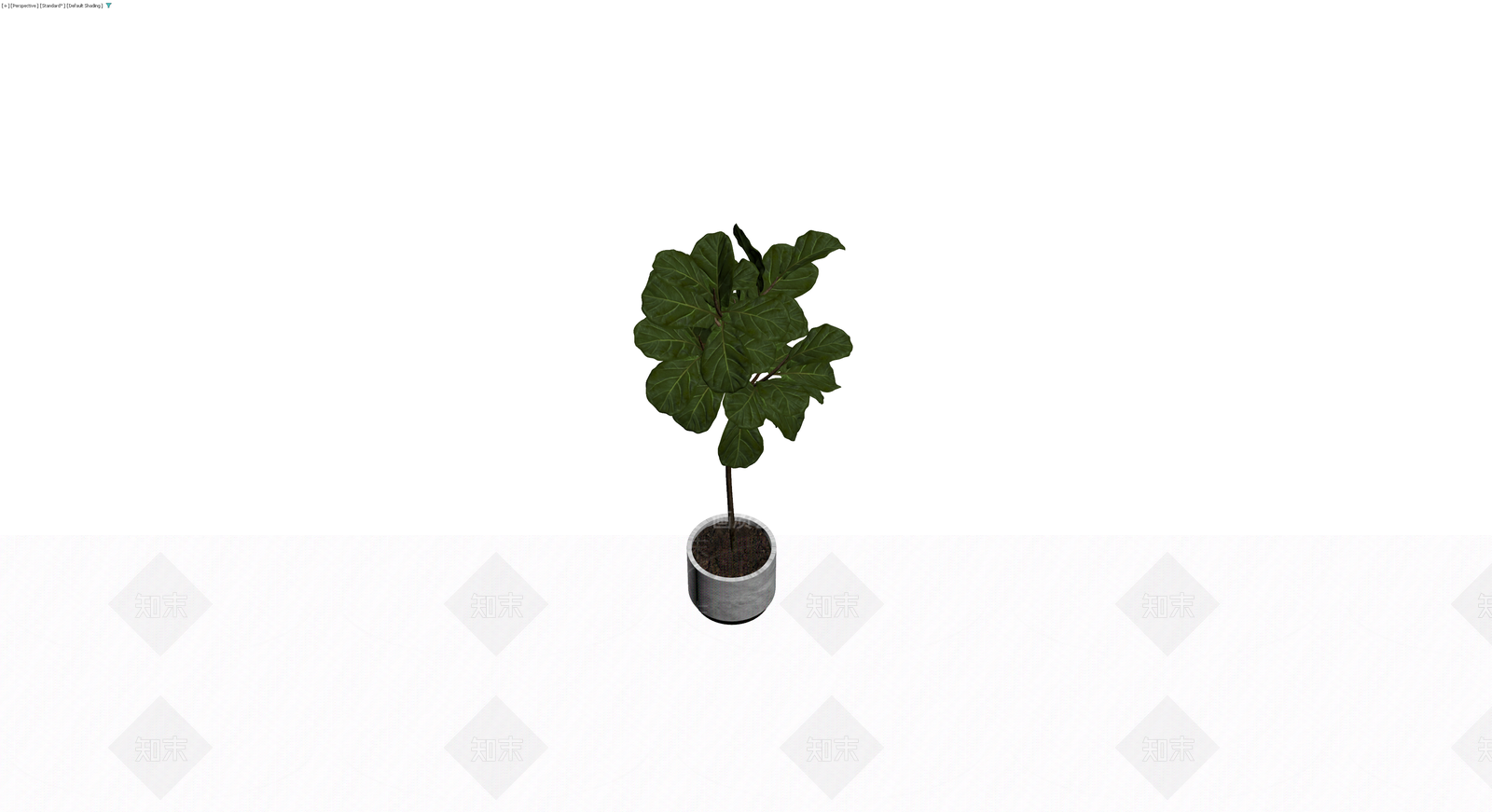 灰色花盆绿植盆栽3D模型下载【ID:1230183325】
