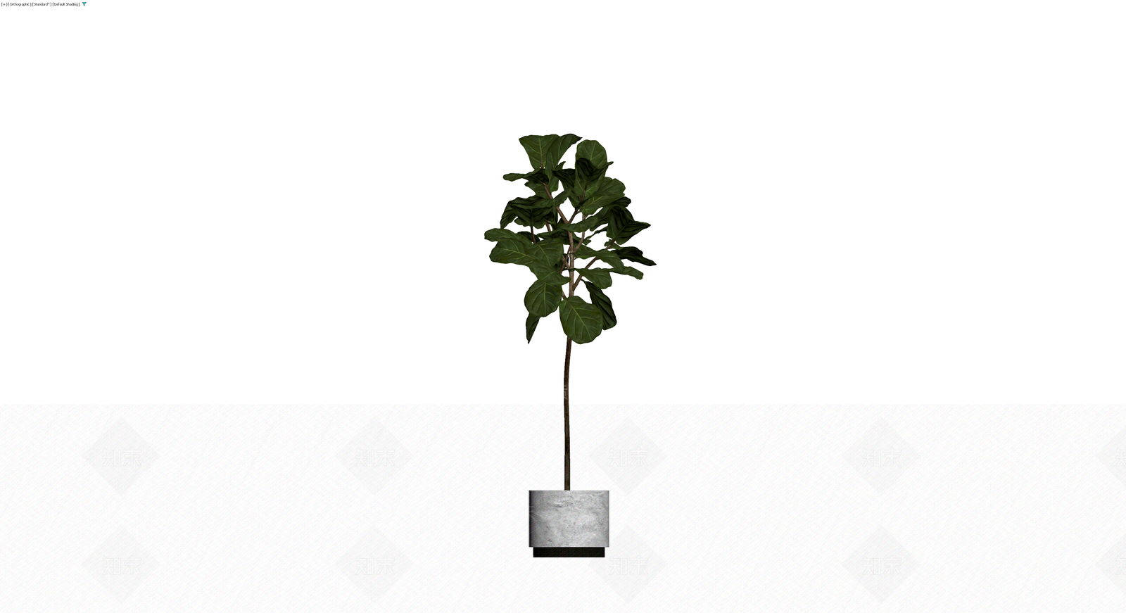 灰色花盆绿植盆栽3D模型下载【ID:1230183325】