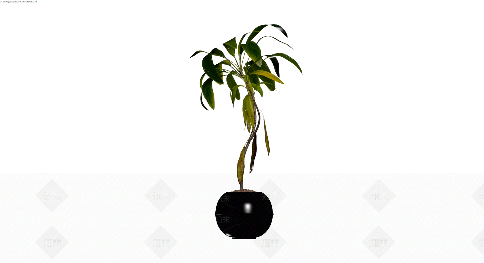 黑色圆盆绿植盆栽3D模型下载【ID:1230596338】