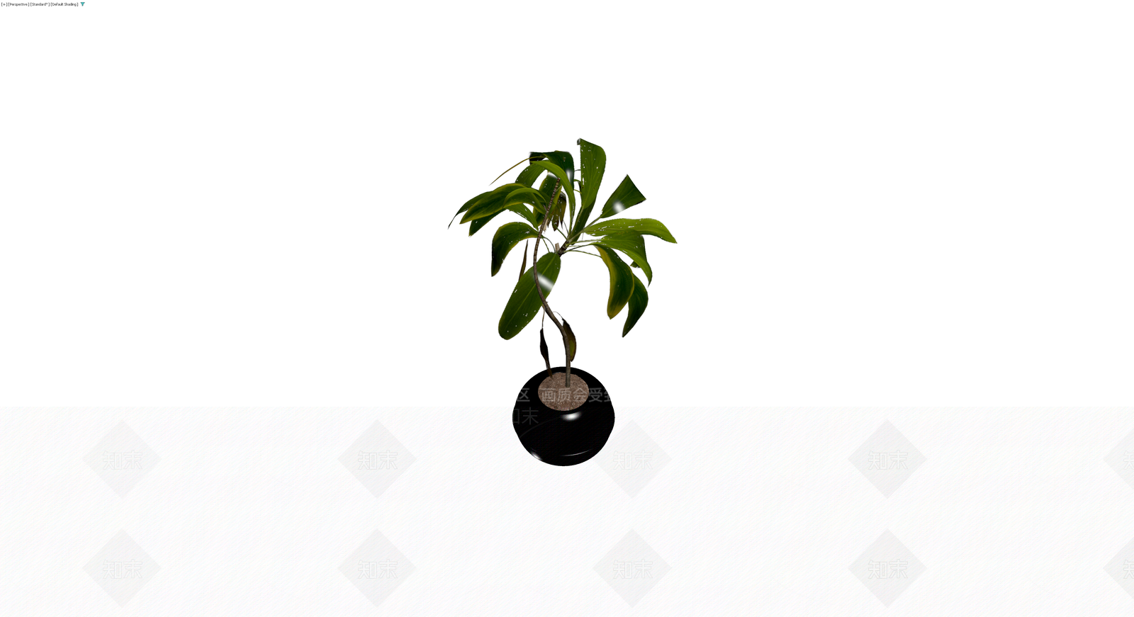 黑色圆盆绿植盆栽3D模型下载【ID:1230596338】