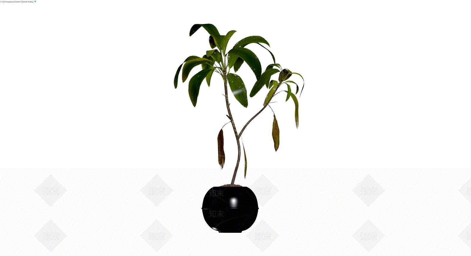 黑色圆盆绿植盆栽3D模型下载【ID:1230596338】