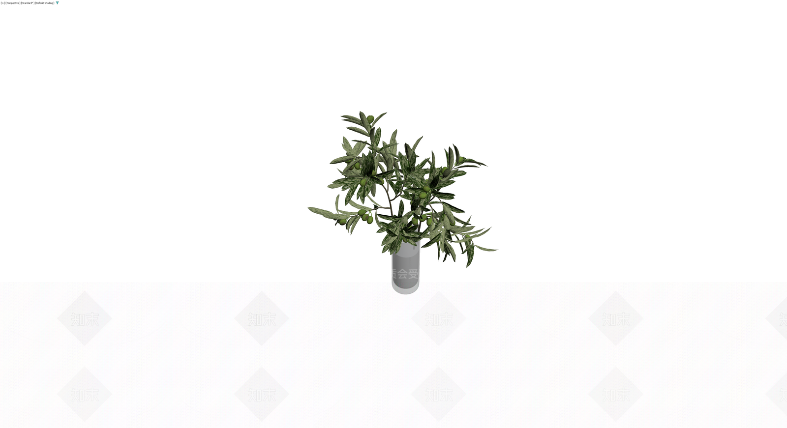 带盆橄榄枝插花3D模型下载【ID:1229884908】