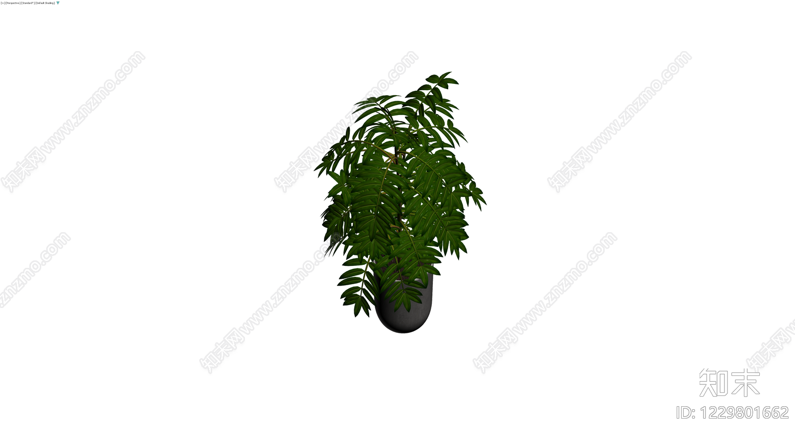 盆栽绿植带盆3D模型下载【ID:1229801662】