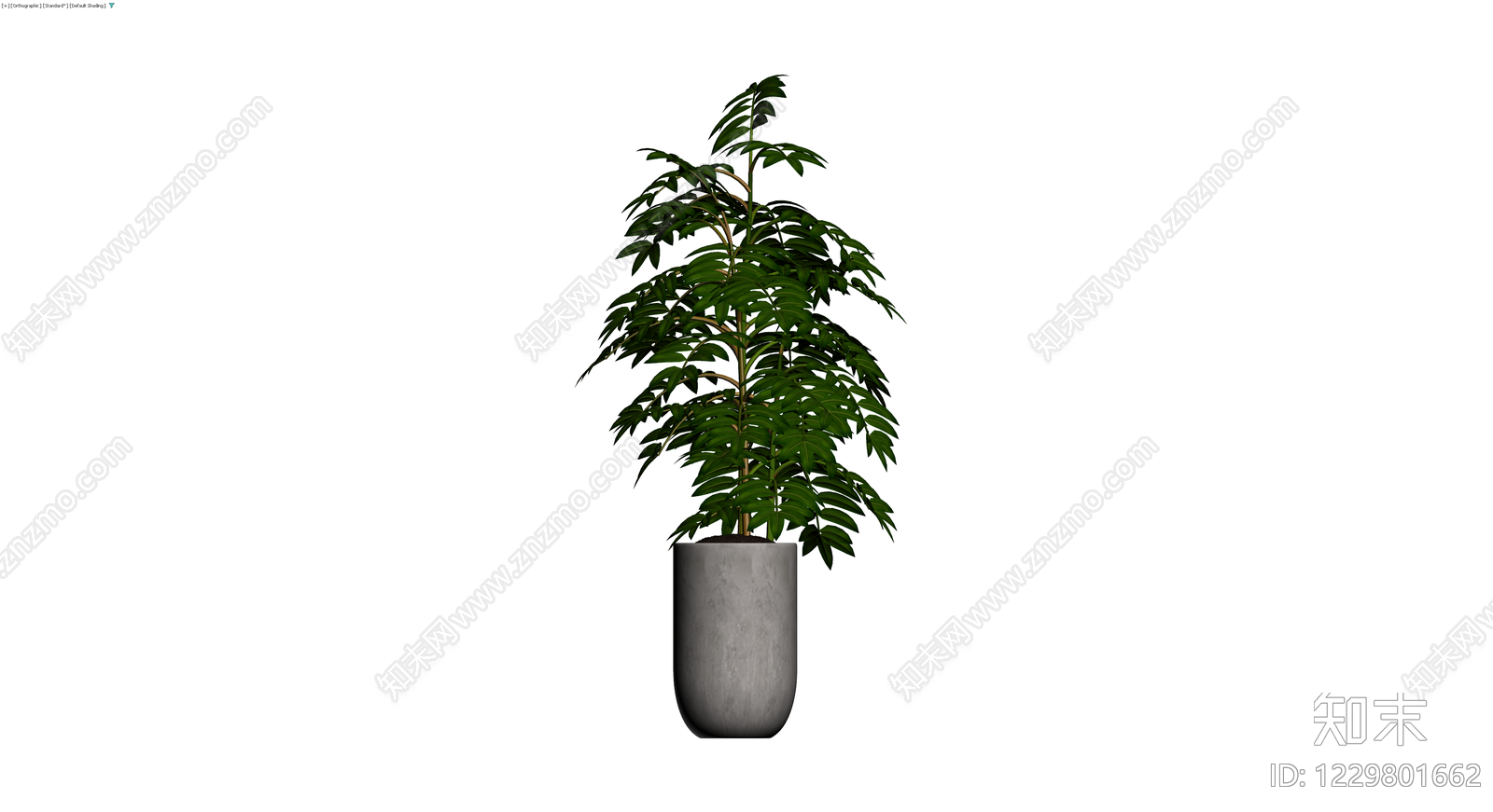 盆栽绿植带盆3D模型下载【ID:1229801662】