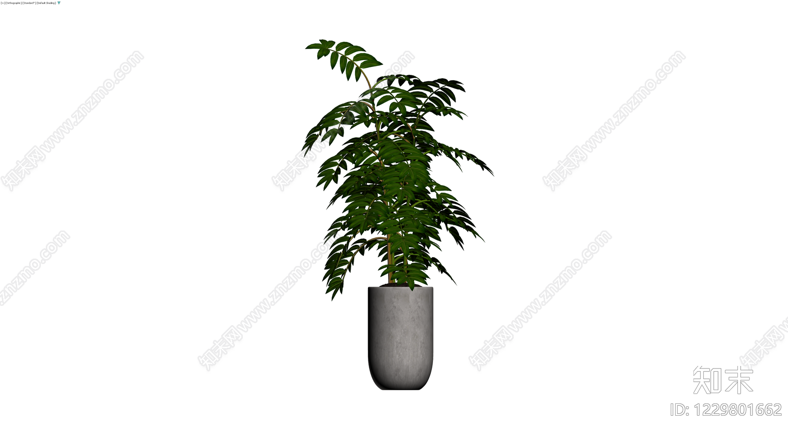 盆栽绿植带盆3D模型下载【ID:1229801662】