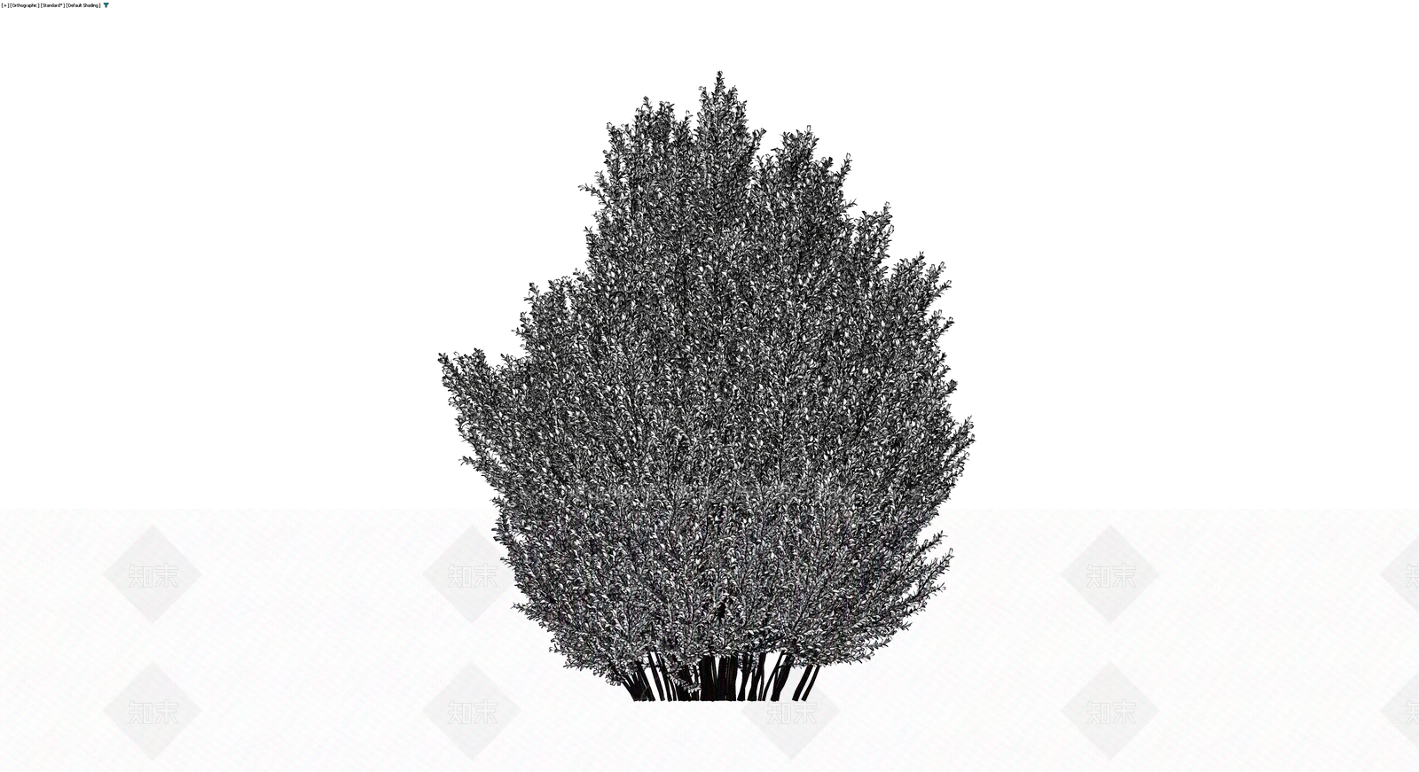 灌木植物模型3D模型下载【ID:1230623450】