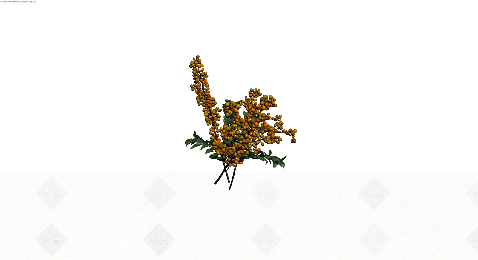 橙色浆果植物枝条3D模型下载【ID:1230184907】