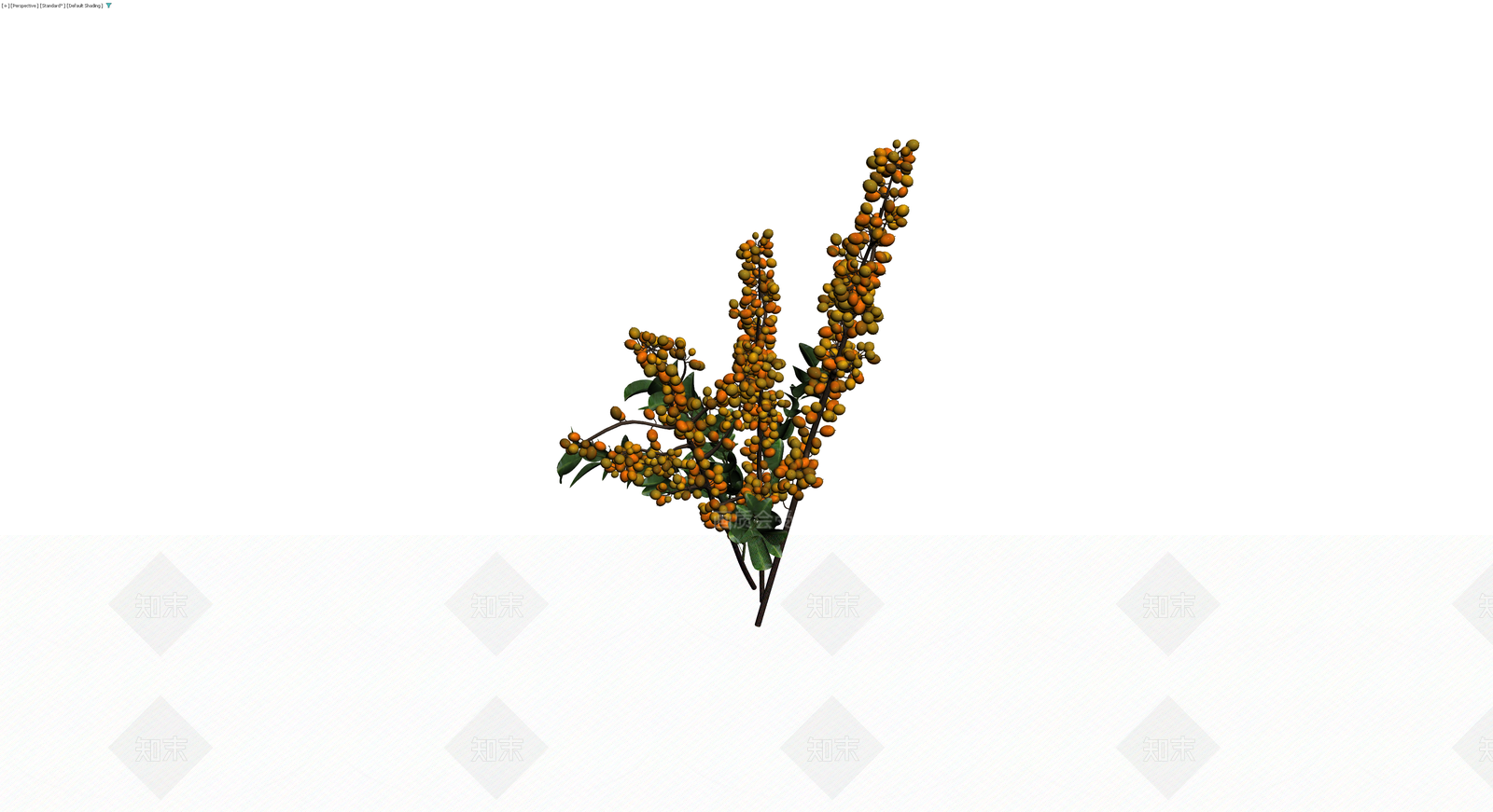 橙色浆果植物枝条3D模型下载【ID:1230184907】