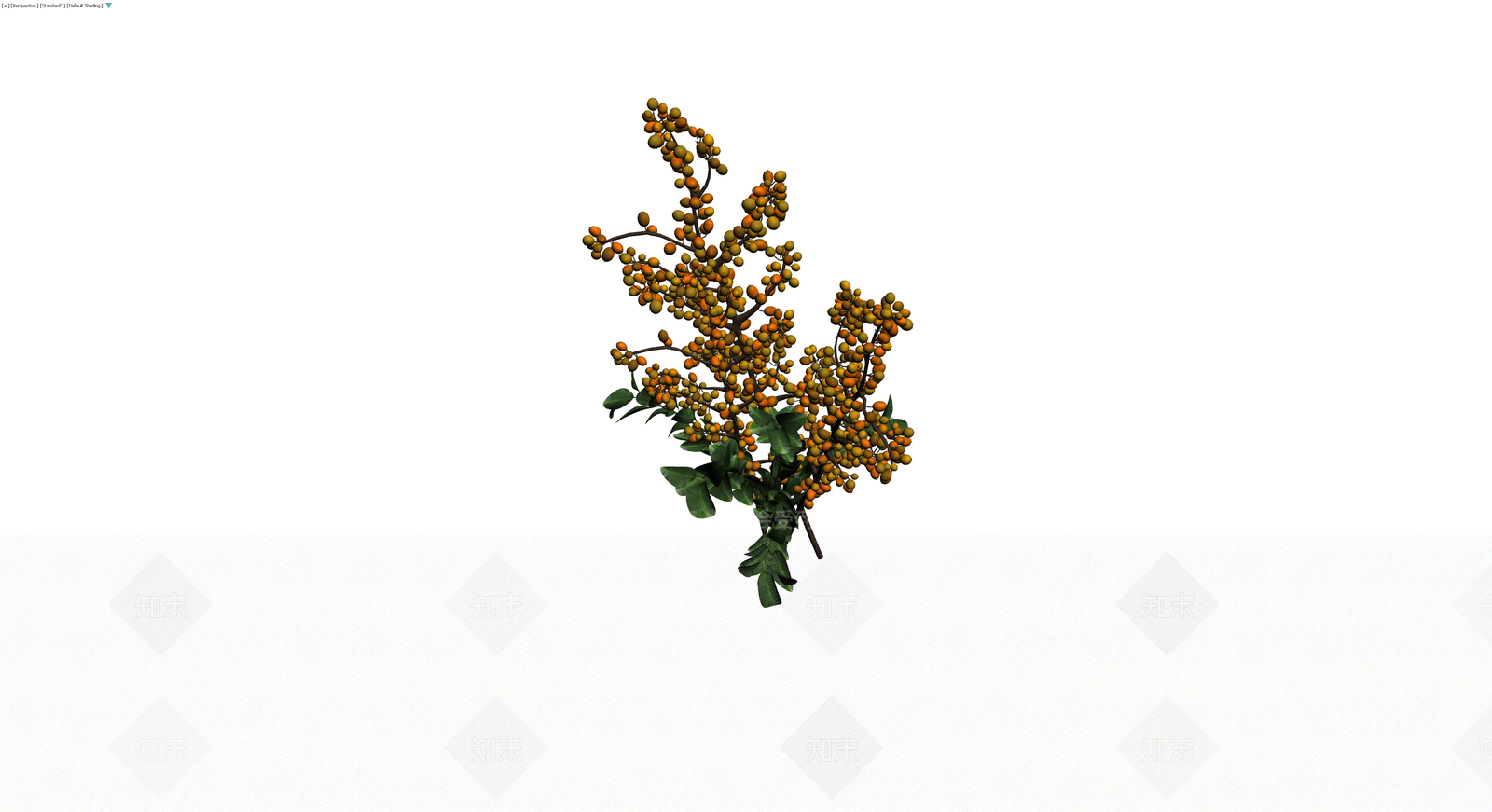 橙色浆果植物枝条3D模型下载【ID:1230184907】