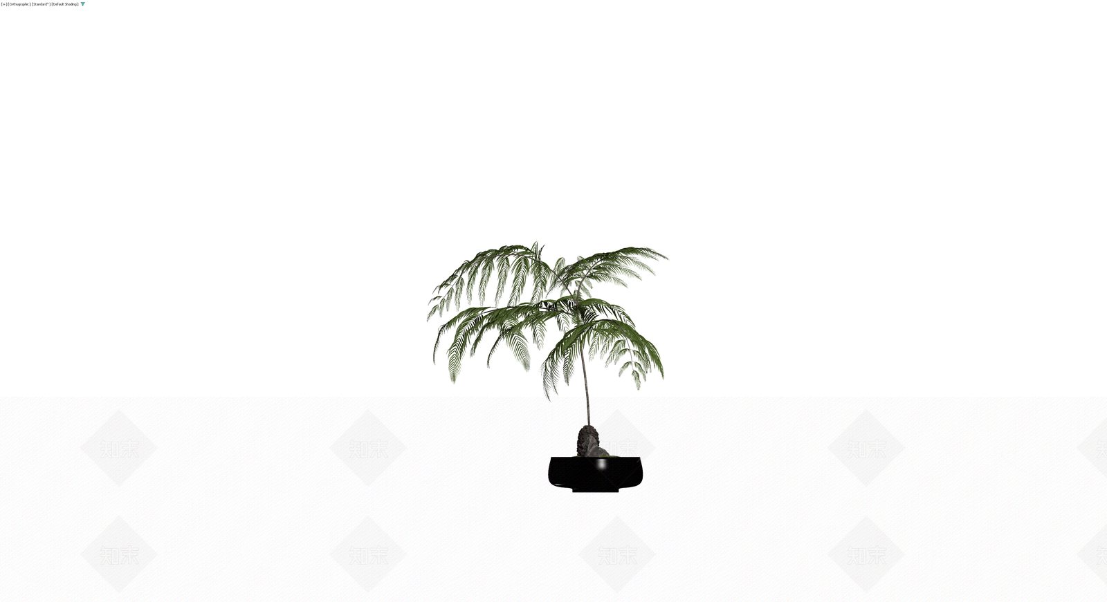 盆栽蕨类植物3D模型下载【ID:1230183409】