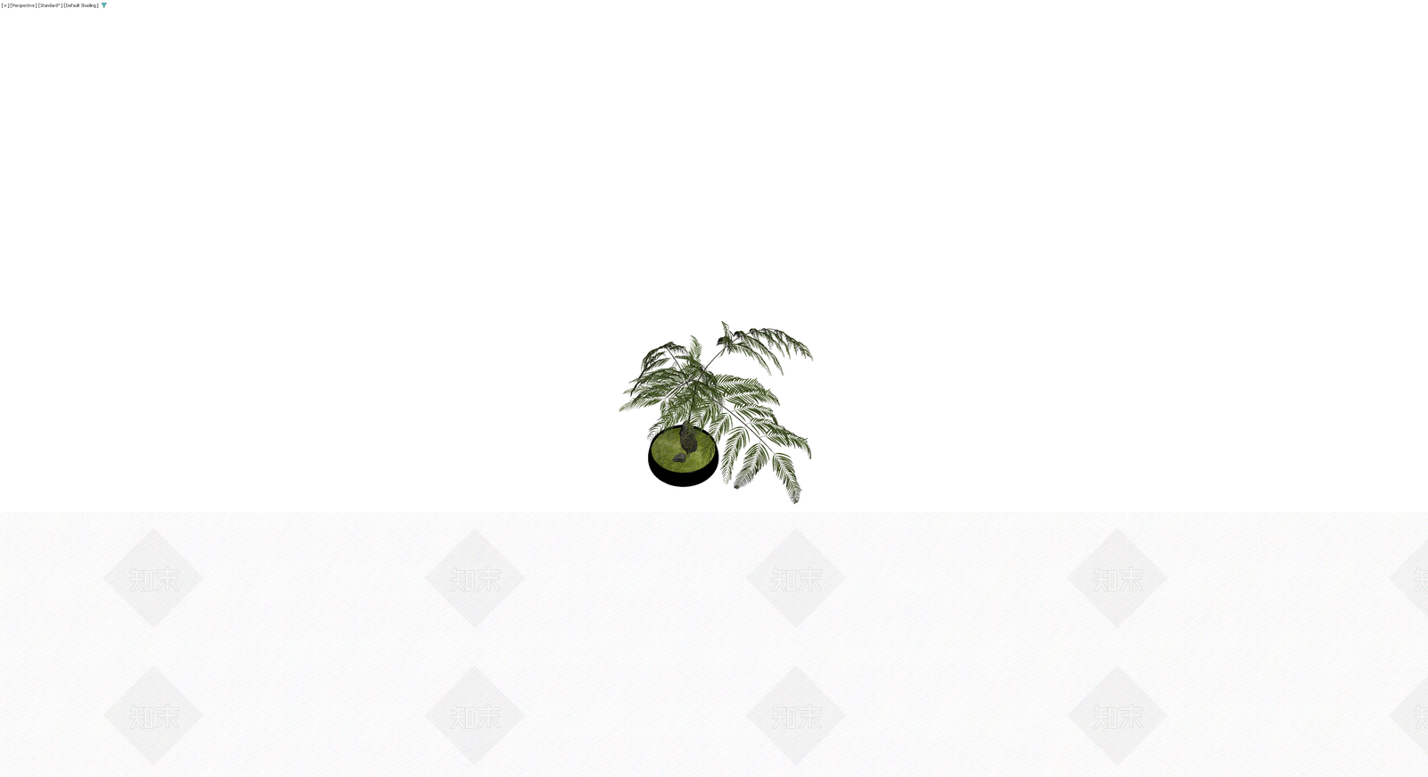 盆栽蕨类植物3D模型下载【ID:1230183409】
