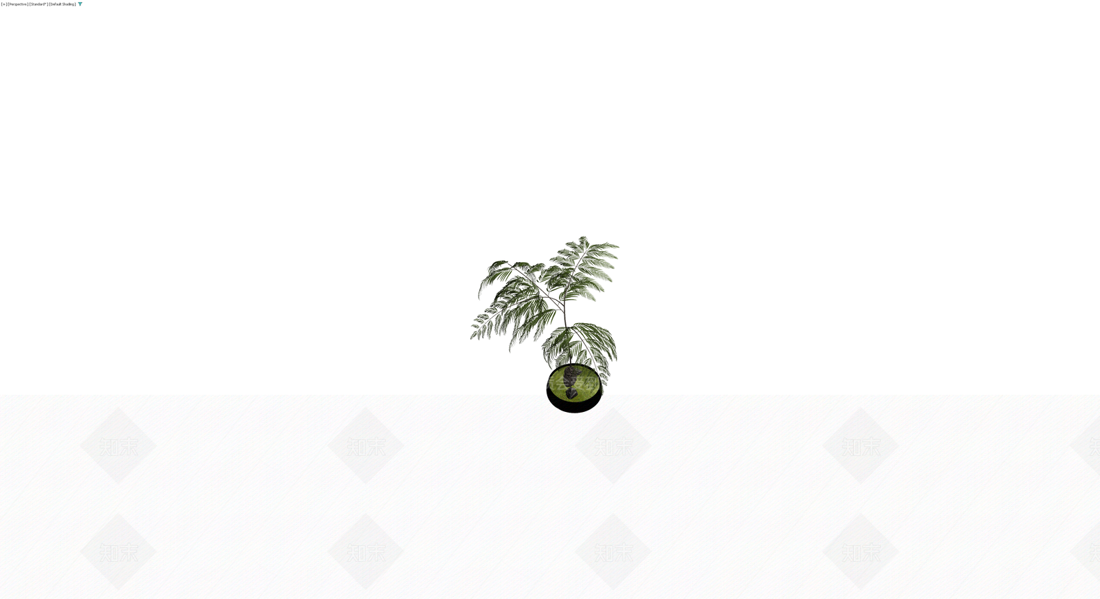 盆栽蕨类植物3D模型下载【ID:1230183409】