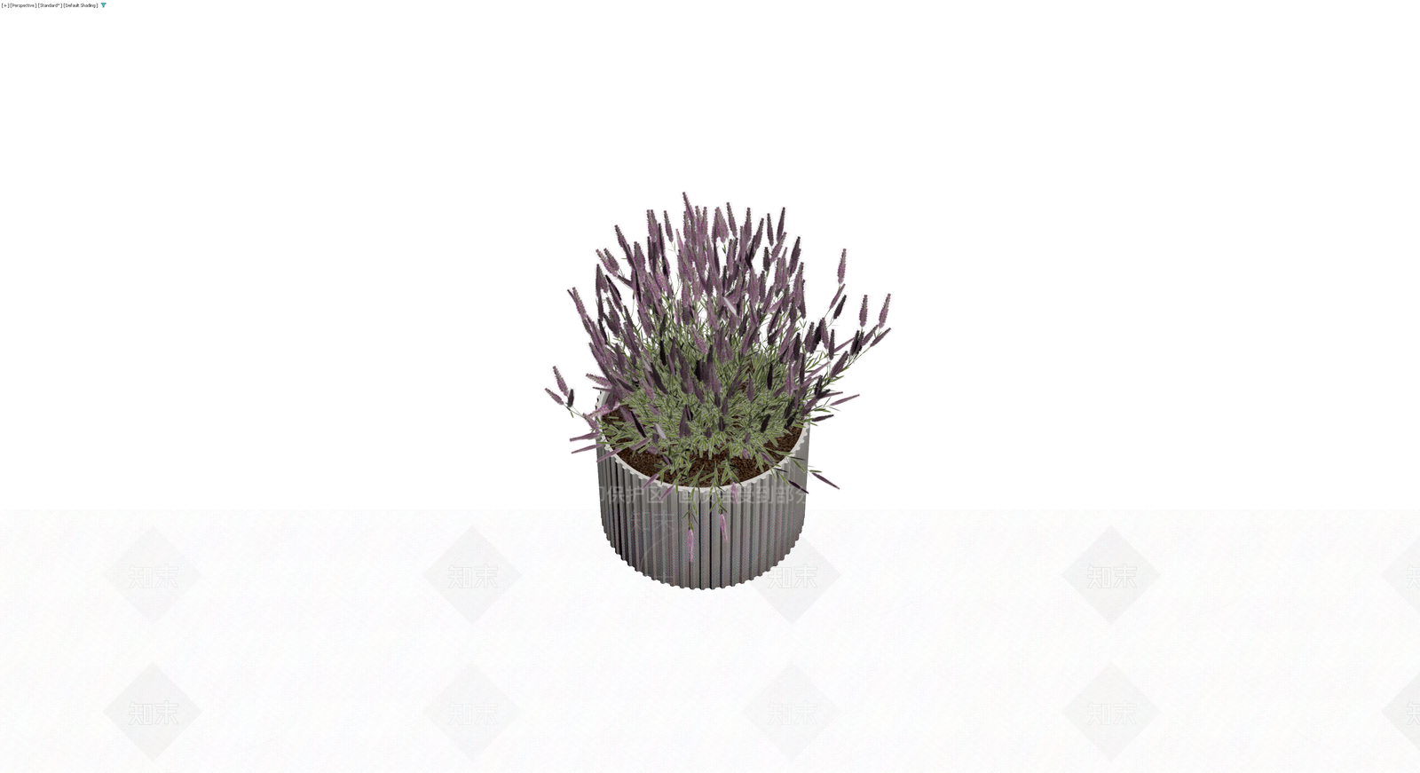 带盆薰衣草盆栽3D模型下载【ID:1230456212】