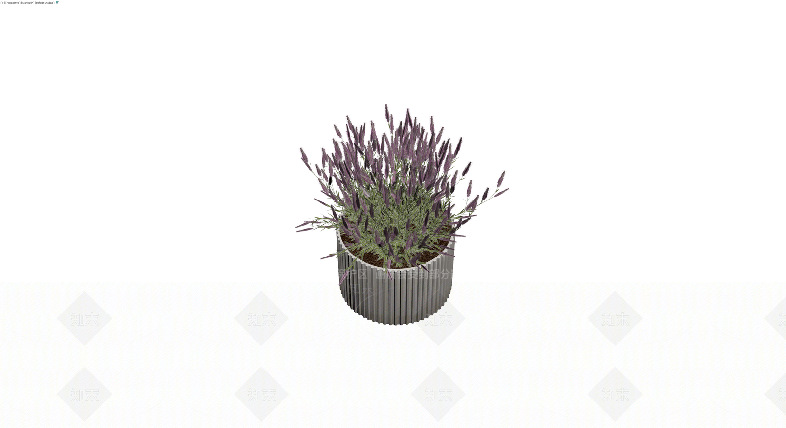 带盆薰衣草盆栽3D模型下载【ID:1230456212】