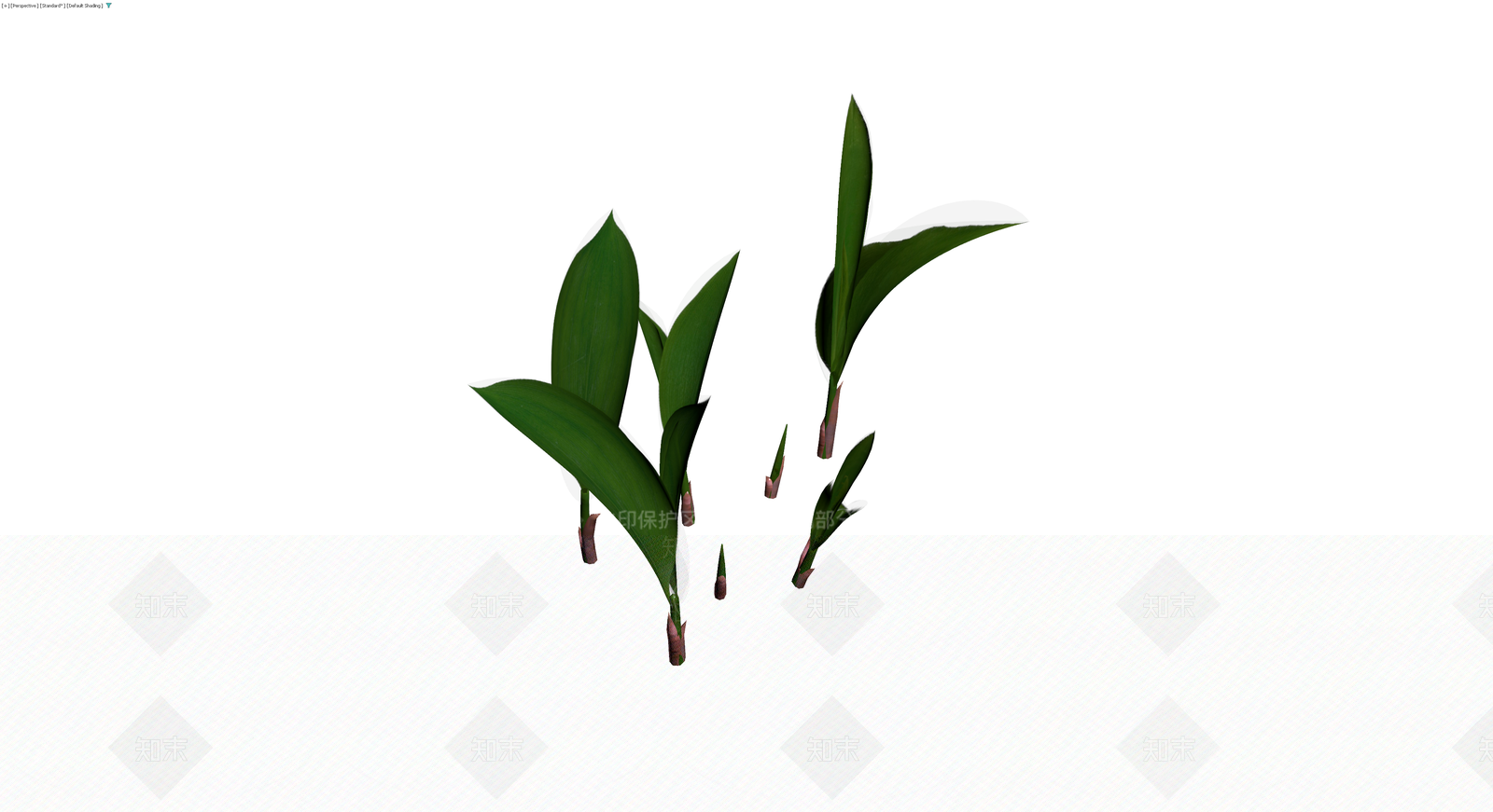 丛生绿植植物组合3D模型下载【ID:1230420750】