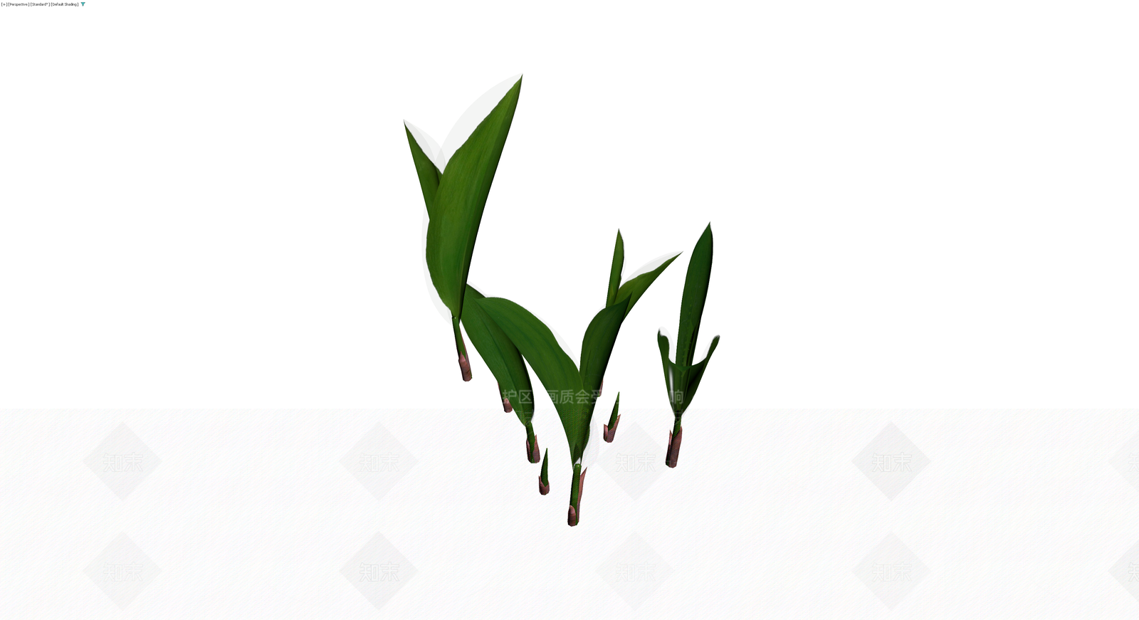 丛生绿植植物组合3D模型下载【ID:1230420750】