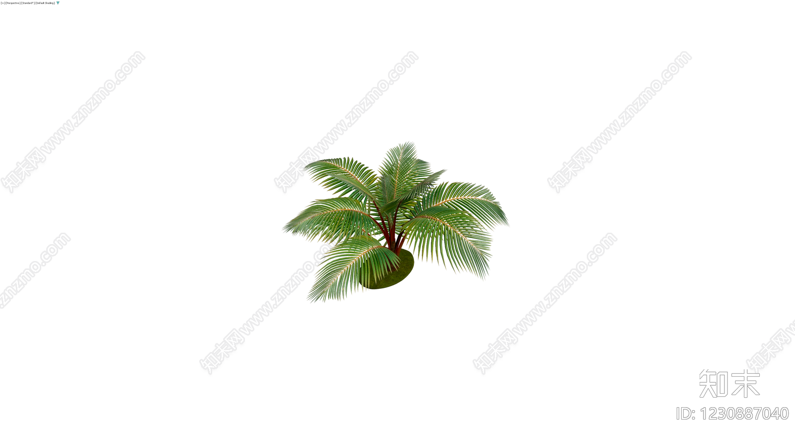 带盆完整棕榈植物3D模型下载【ID:1230887040】