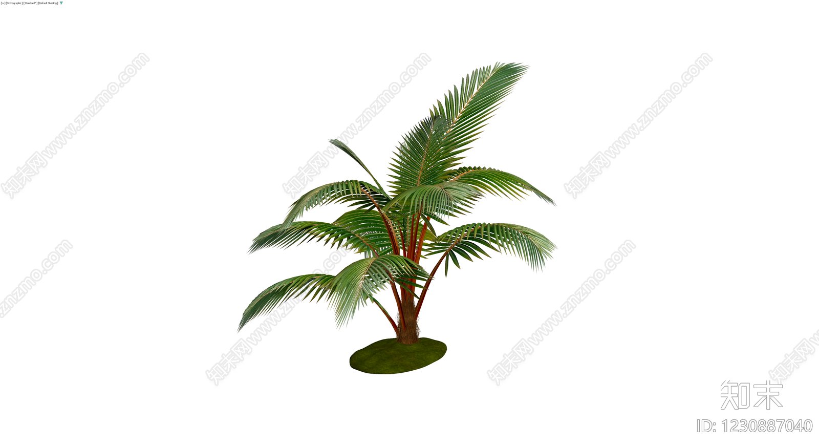 带盆完整棕榈植物3D模型下载【ID:1230887040】