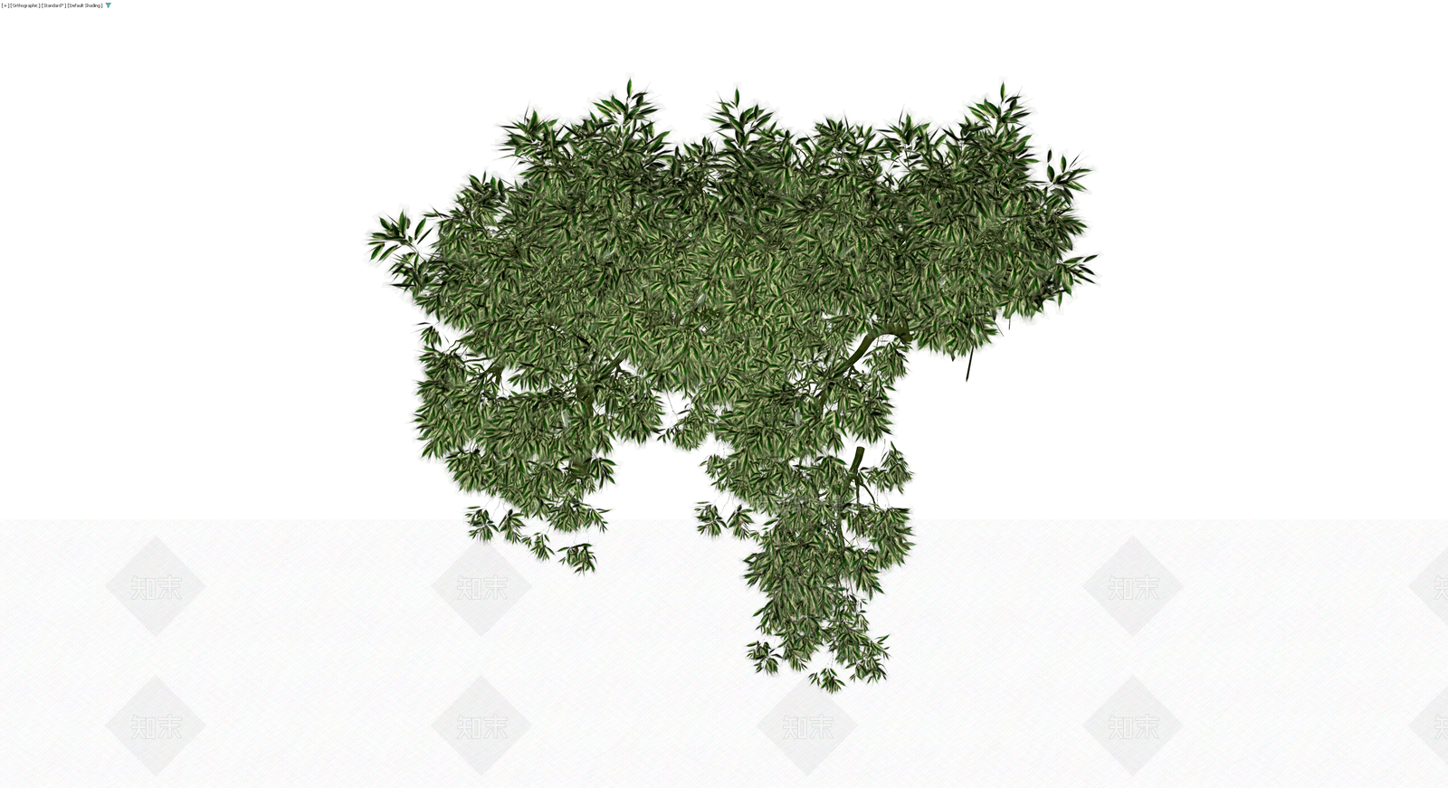 带茎完整绿植模型3D模型下载【ID:1230378557】