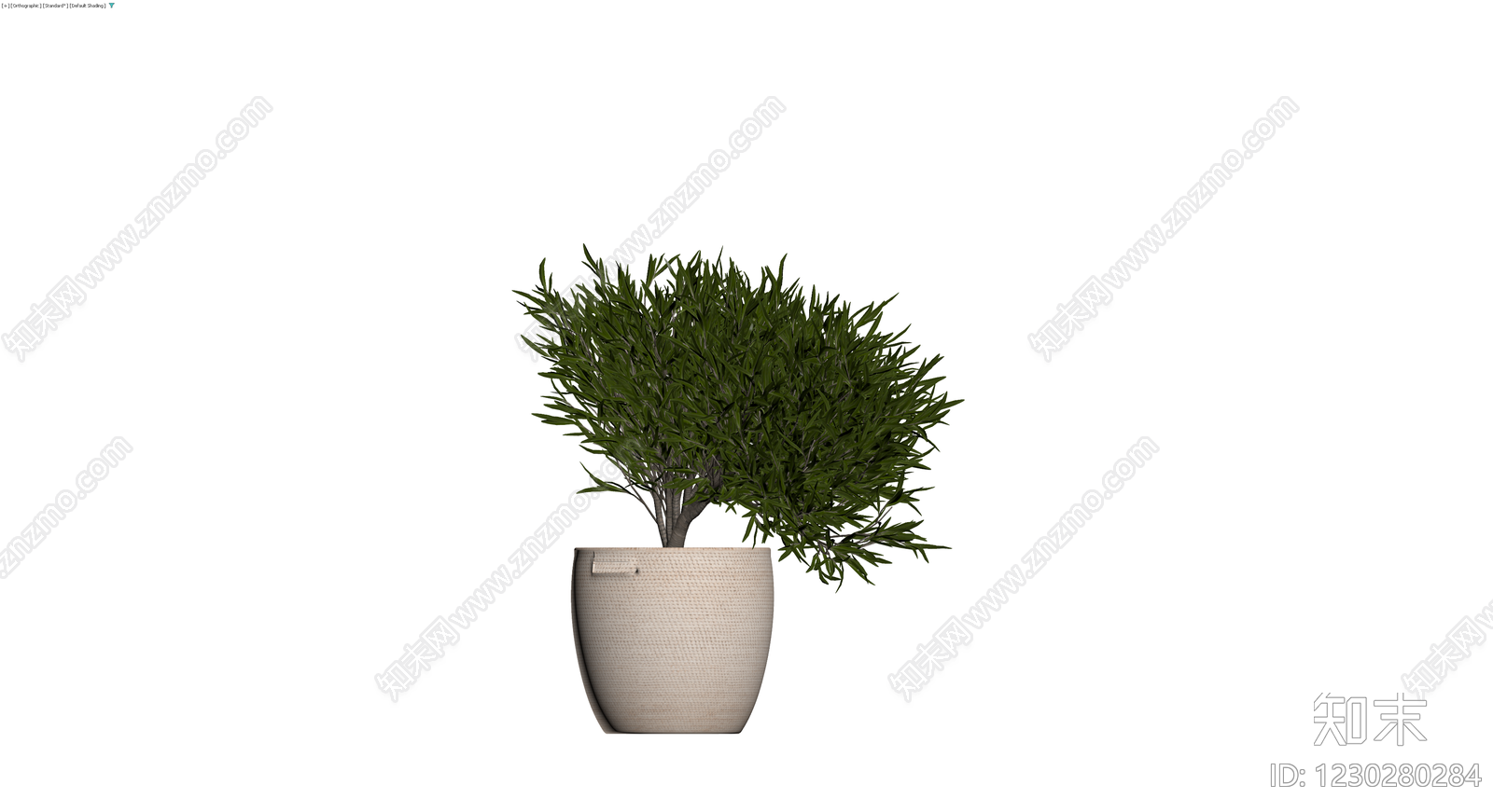 盆栽植物（带盆）3D模型下载【ID:1230280284】