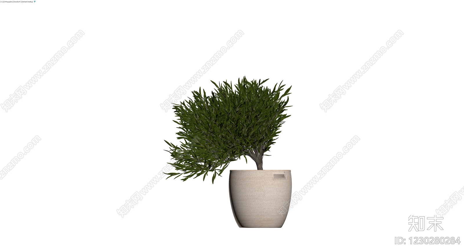盆栽植物（带盆）3D模型下载【ID:1230280284】