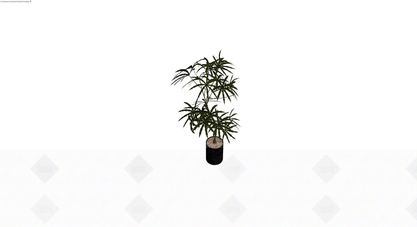 盆栽绿植模型3D模型下载【ID:1230351021】