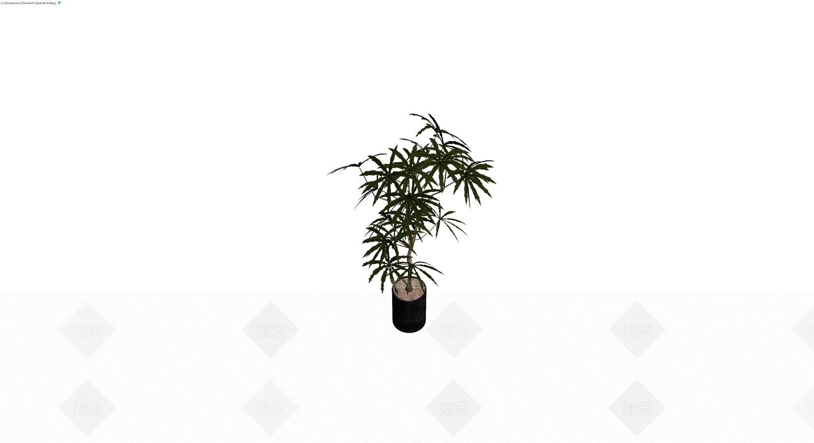 盆栽绿植模型3D模型下载【ID:1230351021】