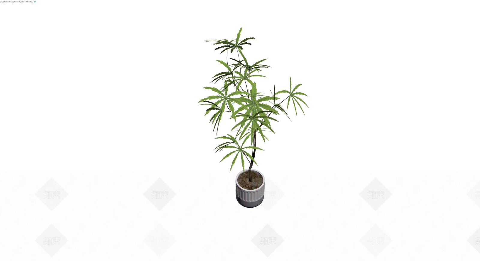 带盆绿色盆栽植物3D模型下载【ID:1230366397】