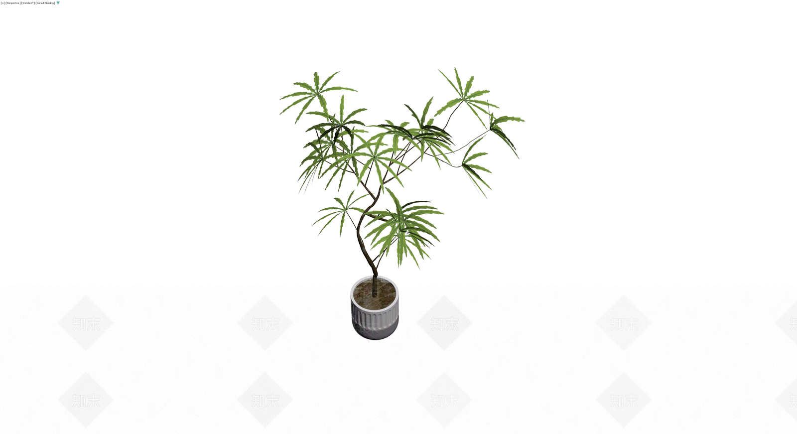 带盆绿色盆栽植物3D模型下载【ID:1230366397】
