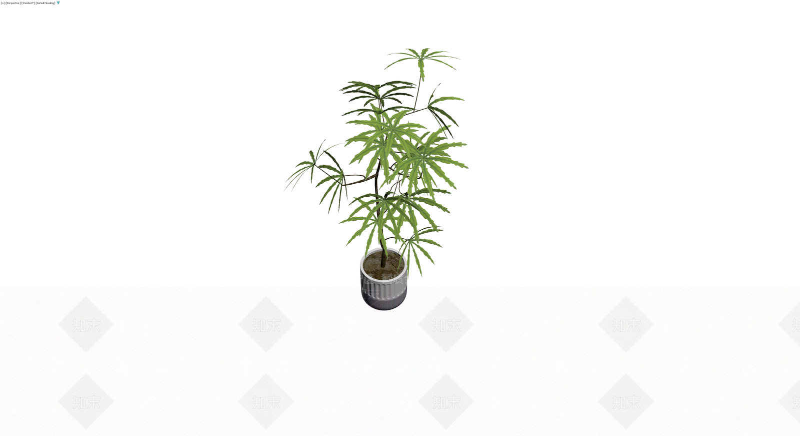 带盆绿色盆栽植物3D模型下载【ID:1230366397】