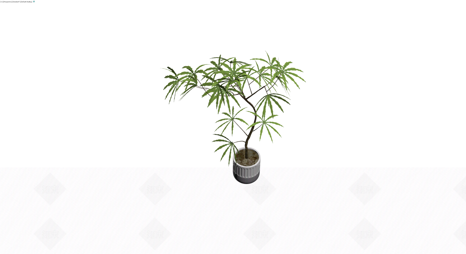 带盆绿色盆栽植物3D模型下载【ID:1230366397】